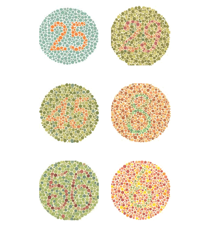 Colour Blindness Test