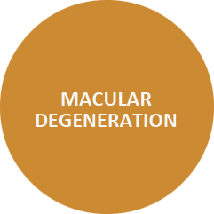 Macular Test Eye