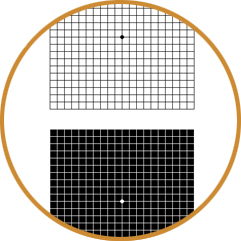 Macular Test Eye