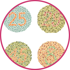 Colour Blindness Test